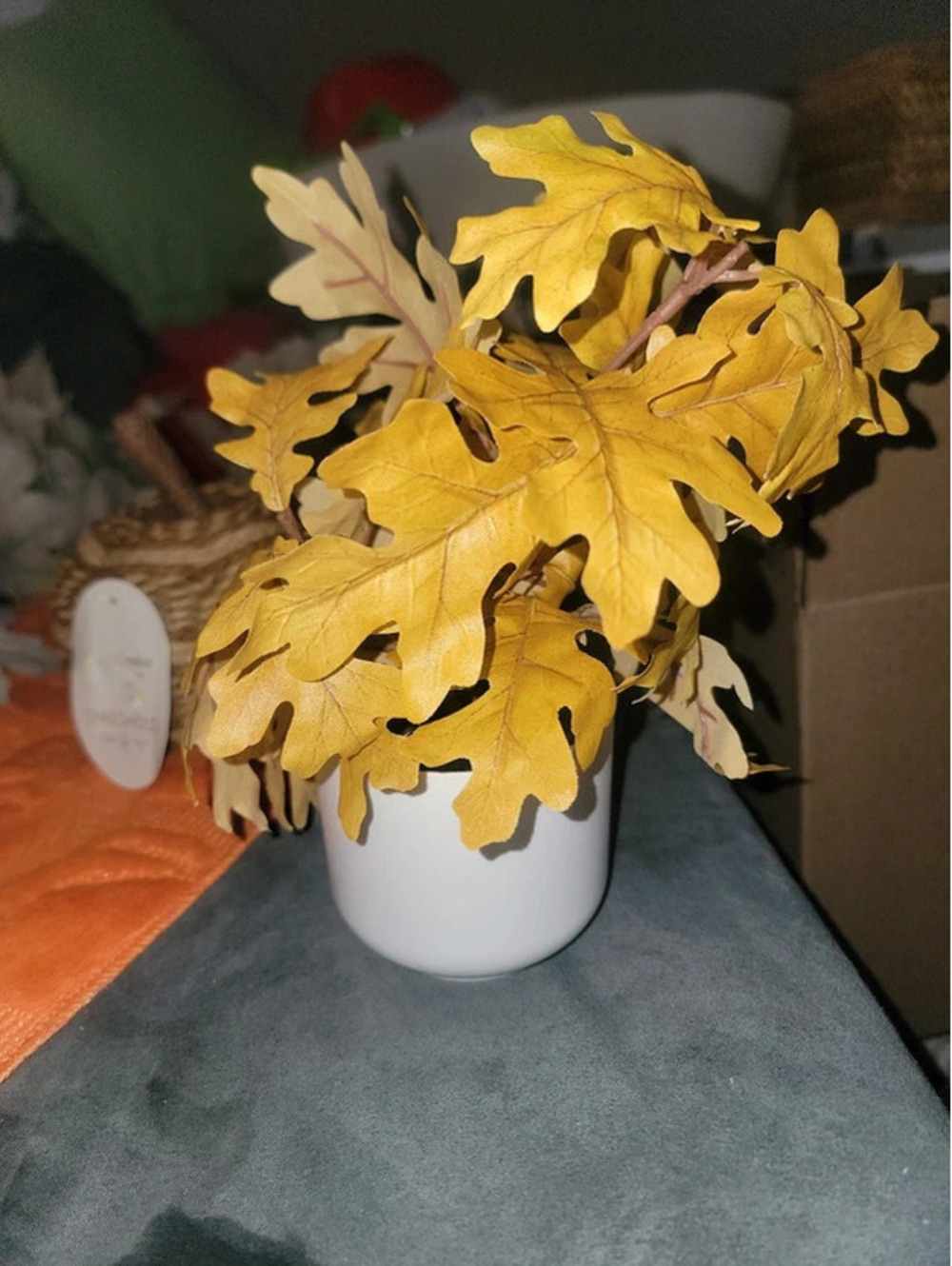 Fall bundle! Reed below - Picture 6 of 15